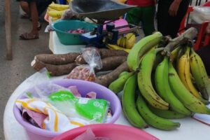 Buscan consolidar mercaditos campesinos en Texistepec